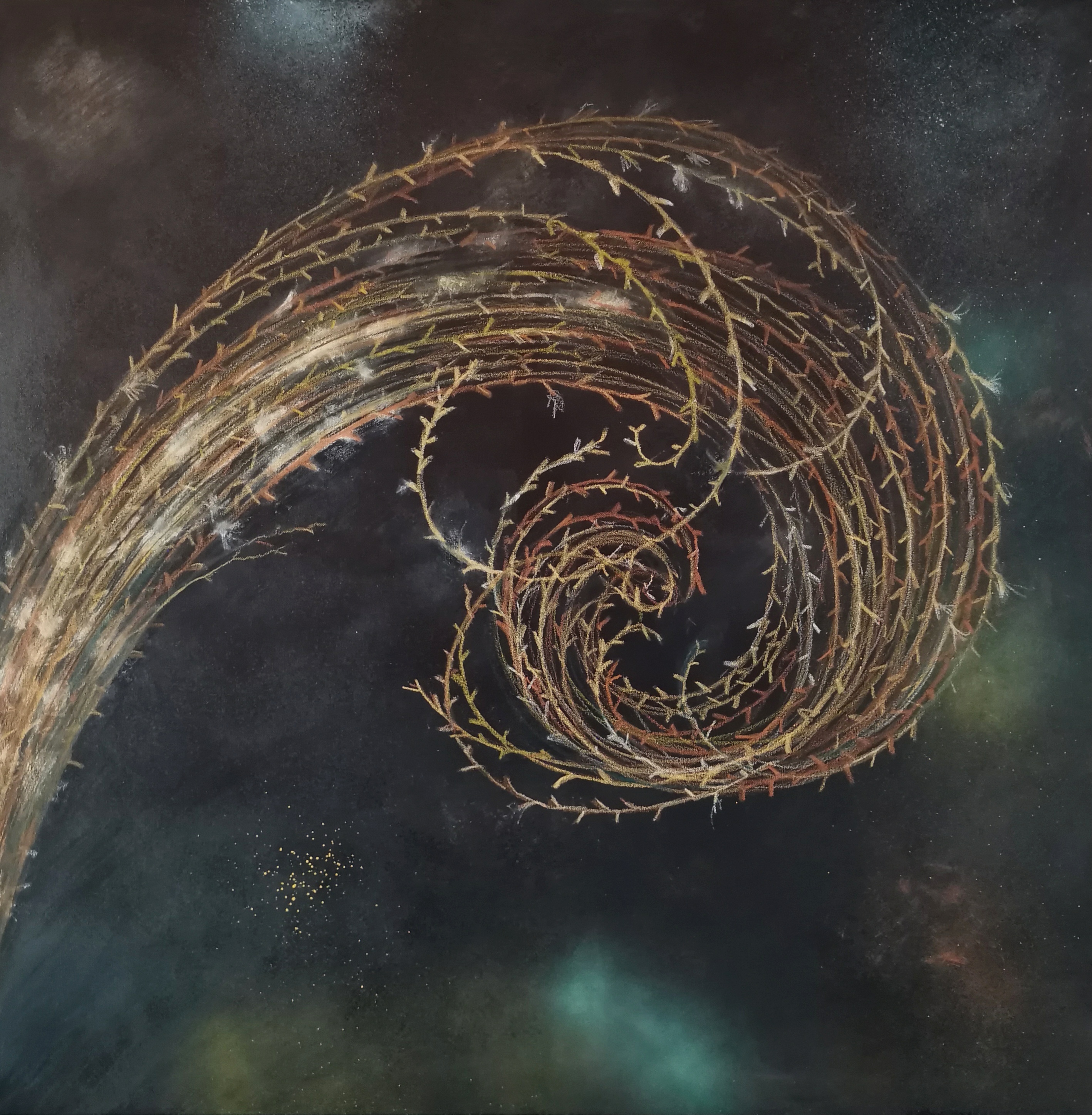 Spira Mirabilis